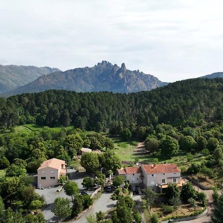 Les Hauts De Cavanello Zonza Ngoại thất bức ảnh